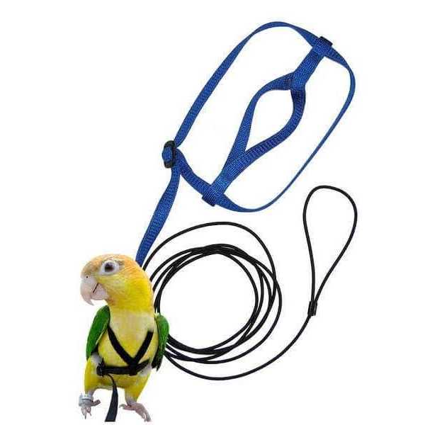 Alternative view of The Aviator Bird Harness and Leash