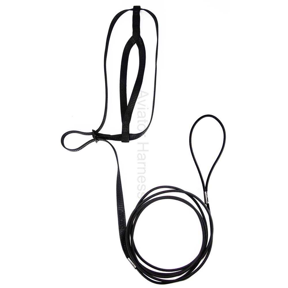 Alternative view of The Aviator Bird Harness and Leash