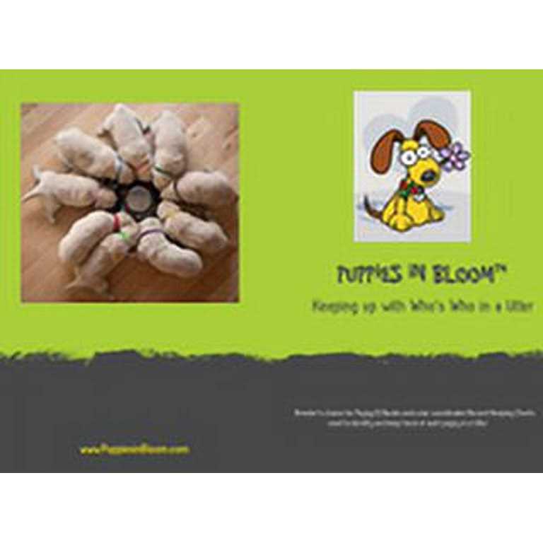Alternative view of Puppies in Bloom Puppy ID Bands
