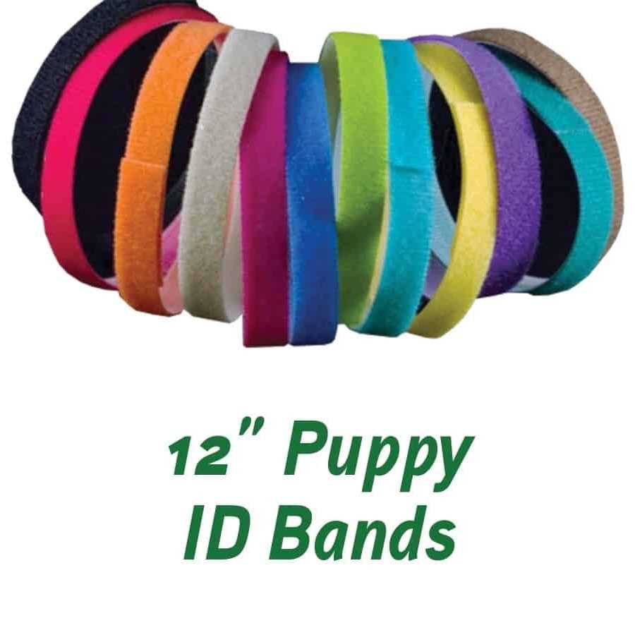 Alternative view of Puppies in Bloom Puppy ID Bands