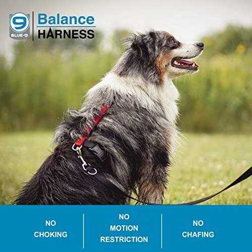 Alternative view of Blue-9 Buckle-Neck Balance Harness Fully Customizable Fit No-Pull Harness Ideal for Dog Training and Obedience