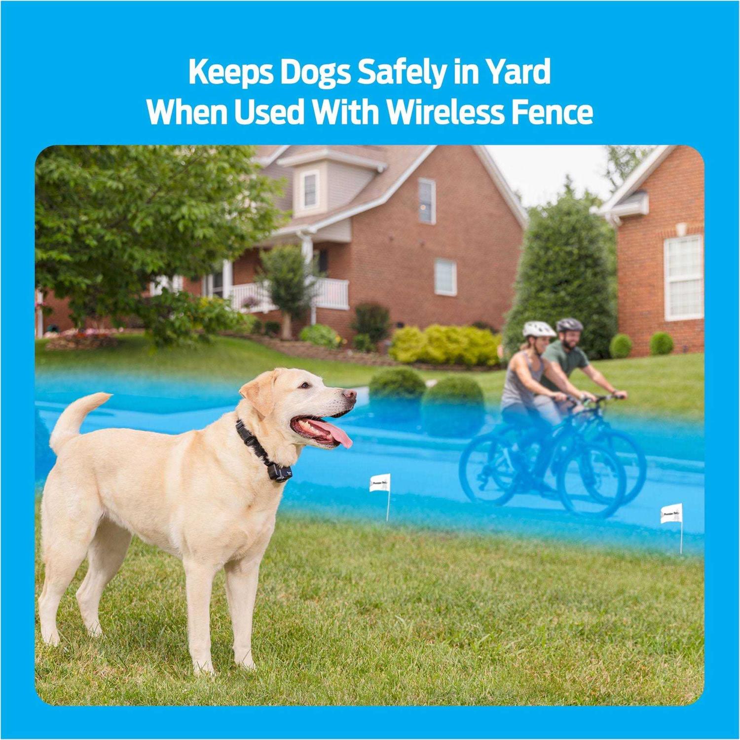Alternative view of Premier Pet Wireless Add-A-Dog Collar