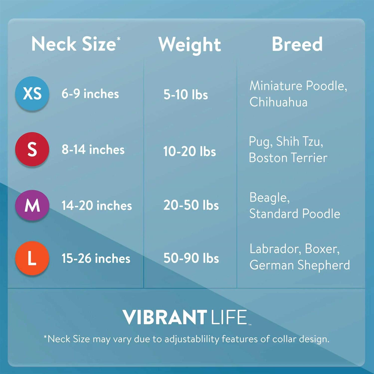 Alternative view of Vibrant Life Solid Dog Collar with Metal Buckle