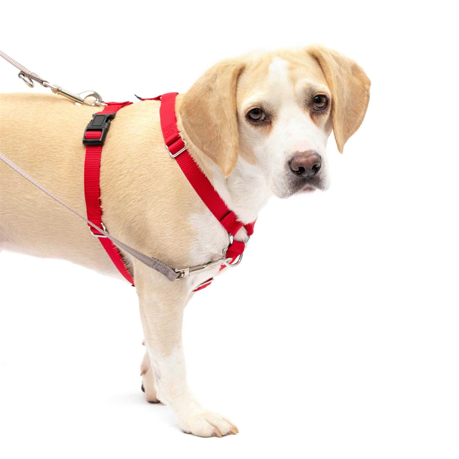 Alternative view of PetSafe Sure-Fit Harness