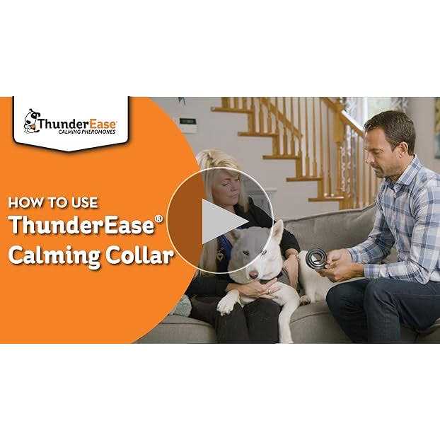 Alternative view of ThunderEase Calming Dog Collar