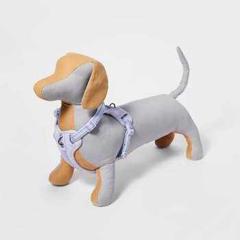 Alternative view of Boots & Barkley Basic Dog Collar