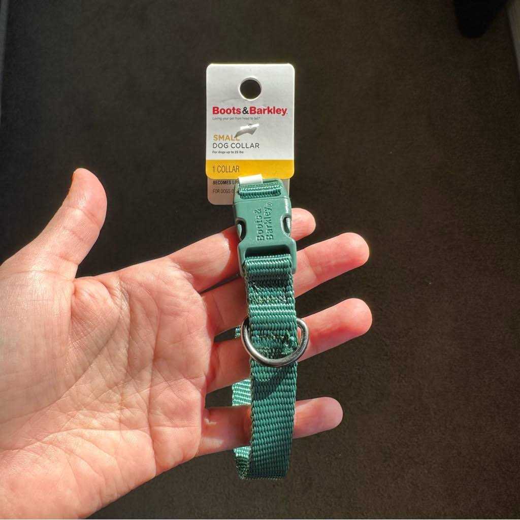 Alternative view of Boots & Barkley Basic Dog Collar