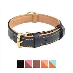Alternative view of Soft Touch Collars Leather Dog Collar Padded