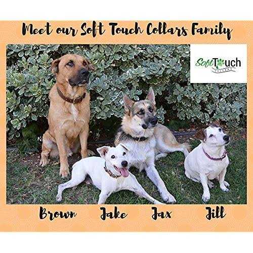 Alternative view of Soft Touch Collars Leather Dog Collar Padded