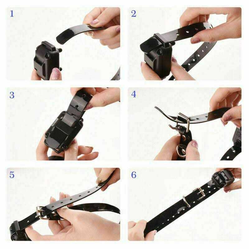 Alternative view of Dog Training Collar