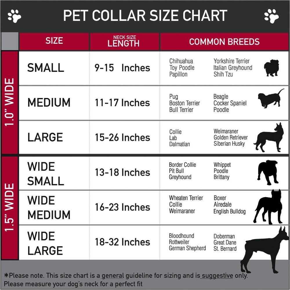 Alternative view of Buckle Down Dog Collar Seatbelt Buckle