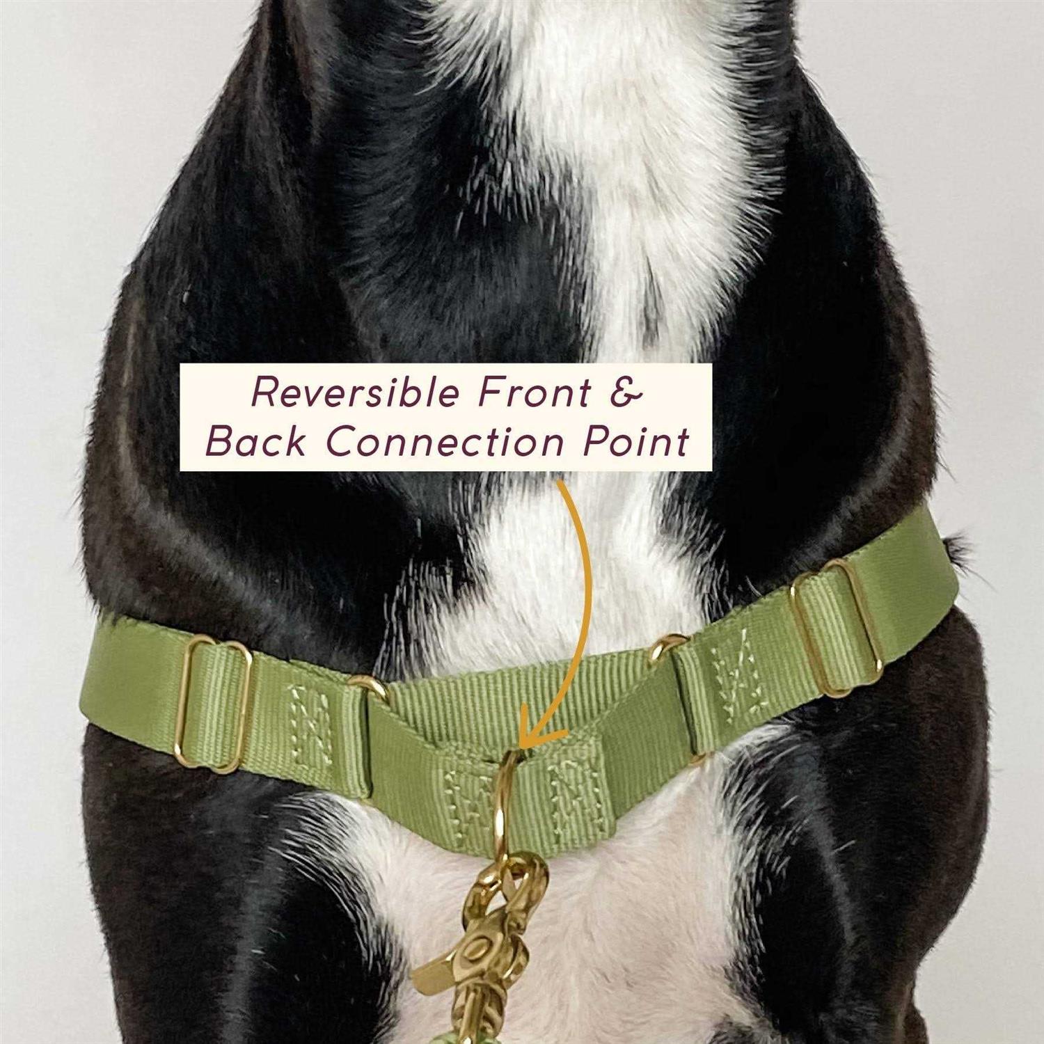 Alternative view of Awoo Roam Harness