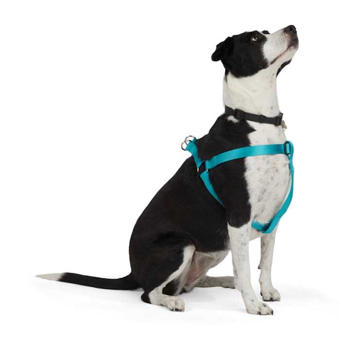 Youly Dog Harness Herringbone