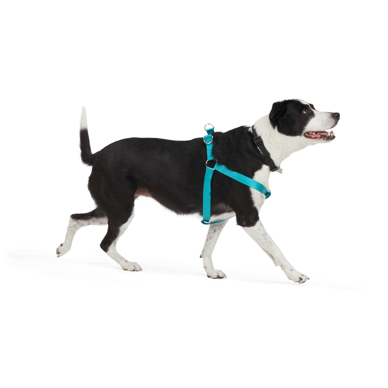 Alternative view of Youly Dog Harness Herringbone