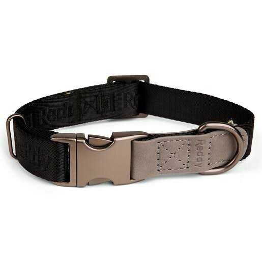 Alternative view of Reddy Dog Collar Jacquard