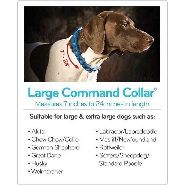 Alternative view of The Perfect Dog Command Training Dog Collar, Medium/Large