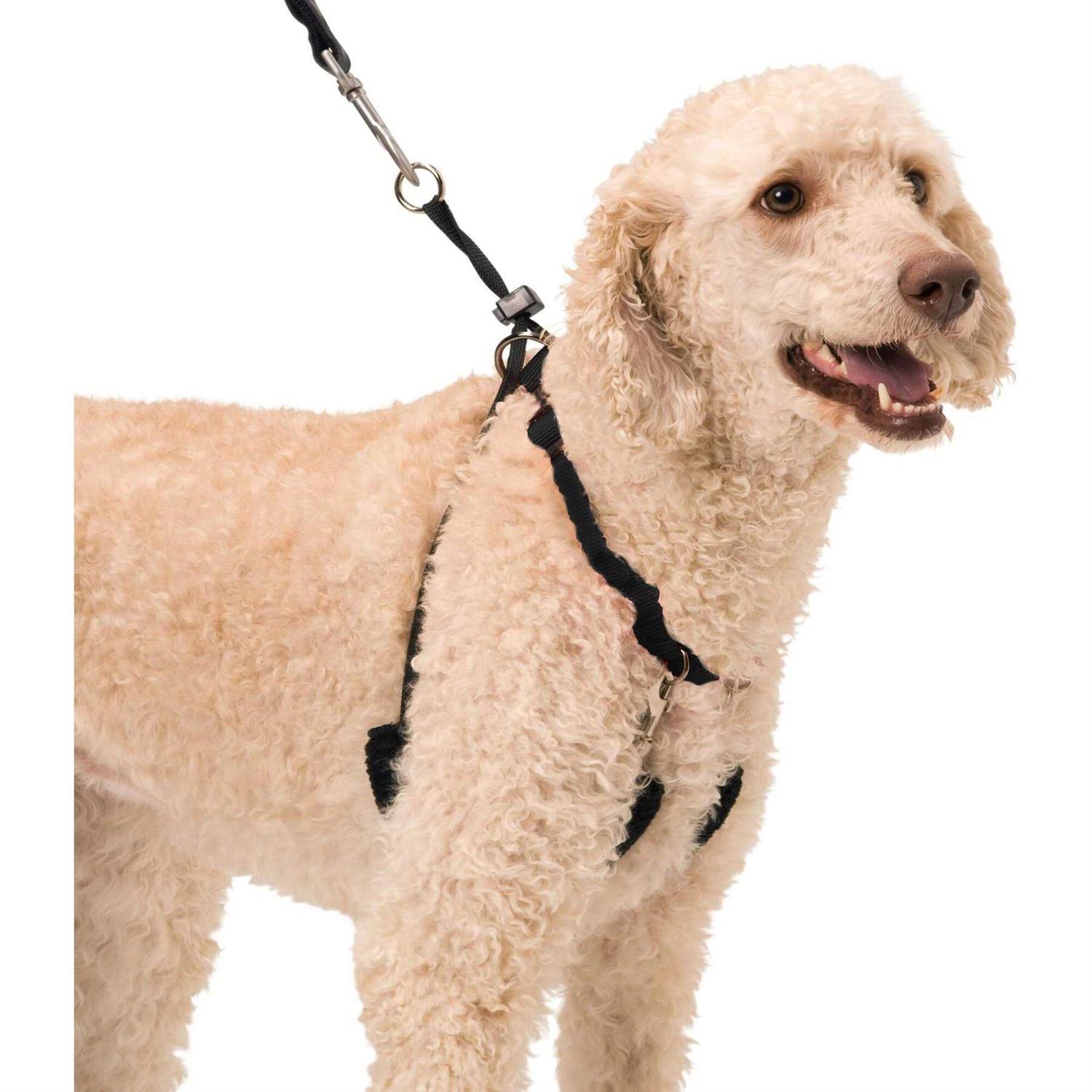 Alternative view of Sporn Halter