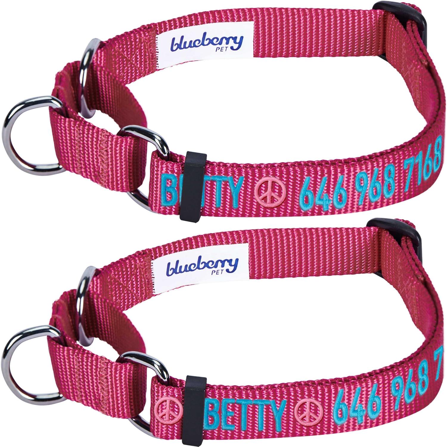 Alternative view of Blueberry Pet Martingale Safety Training Dog Collar