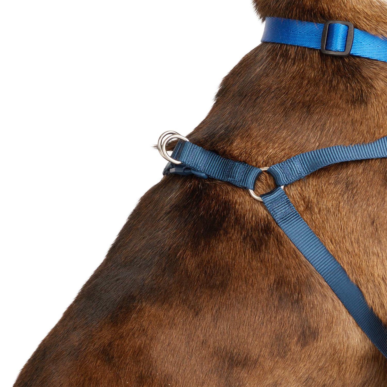 Alternative view of Youly the Champion Padded Step-in Dog Harness
