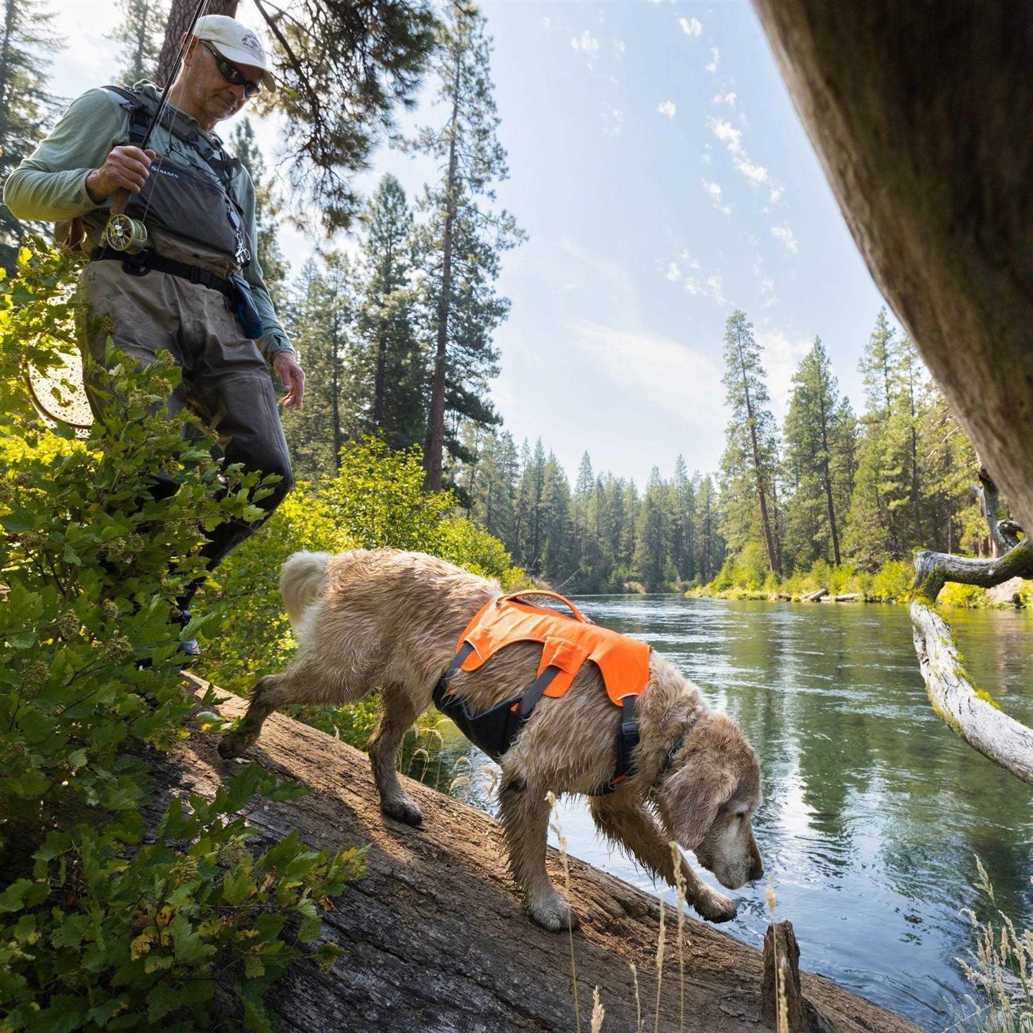 Alternative view of Ruffwear Harness Web Master