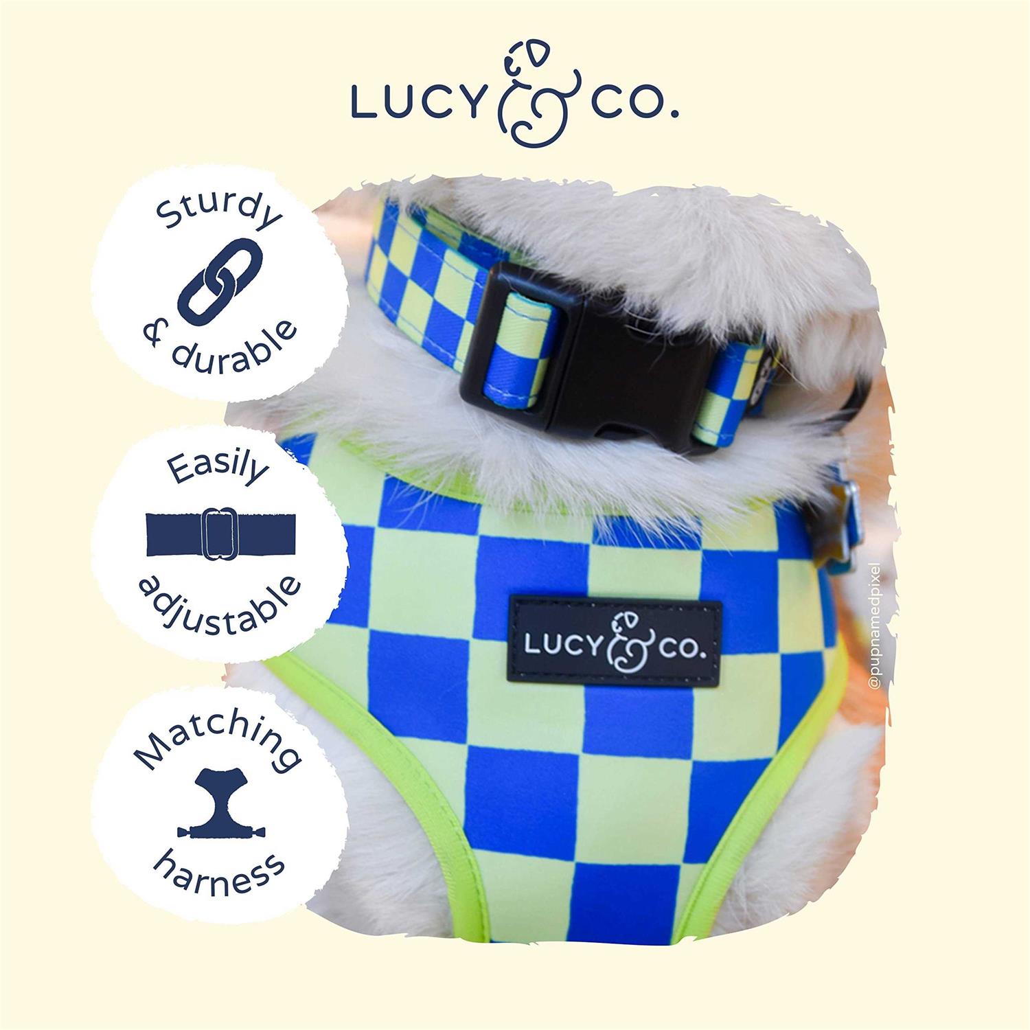 Alternative view of Lucy & Co. Have A Nice Day Dog Collar - Durable Lightweight Designer Collar for Pets - Adjustable Metal Safety Buckel - Lime Green Blue Checker -