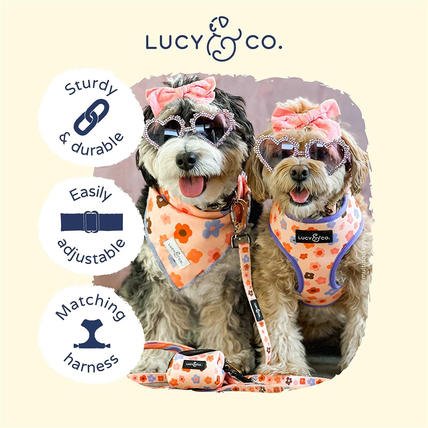 Alternative view of Lucy & Co. Have A Nice Day Dog Collar - Durable Lightweight Designer Collar for Pets - Adjustable Metal Safety Buckel - Lime Green Blue Checker -
