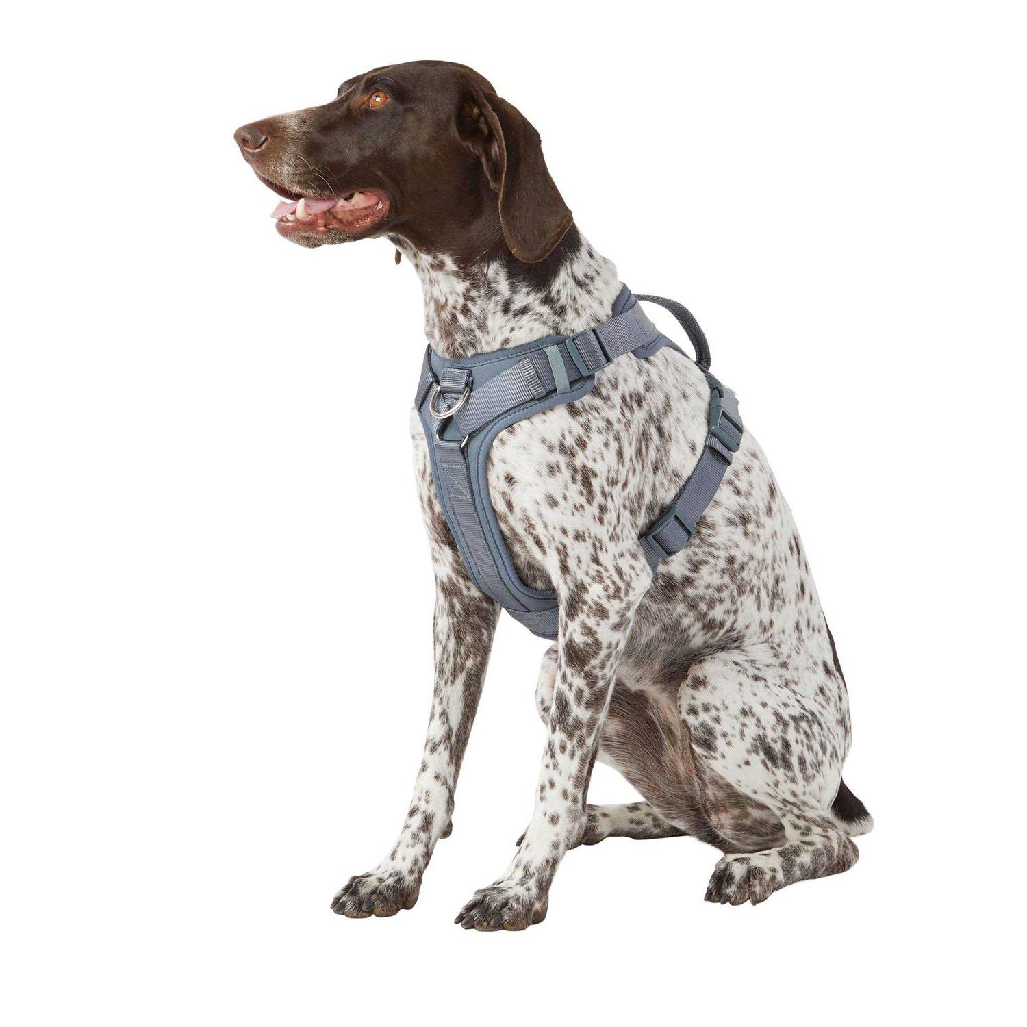 Alternative view of Top Paw Core Fashion Adjustable Comfort Dog Harness