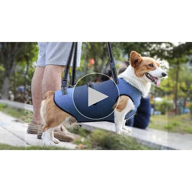 Alternative view of Coodeo Dog Lift Harness Support & Recovery Sling Pet Rehabilitation Lifts Vest Adjustable Breathable Straps for Old