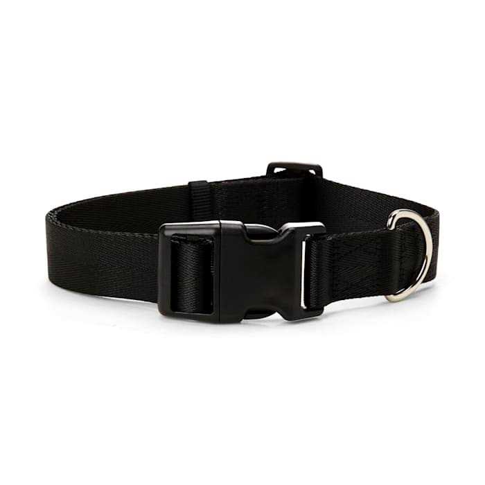 YOULY Adjustable Dog Collar