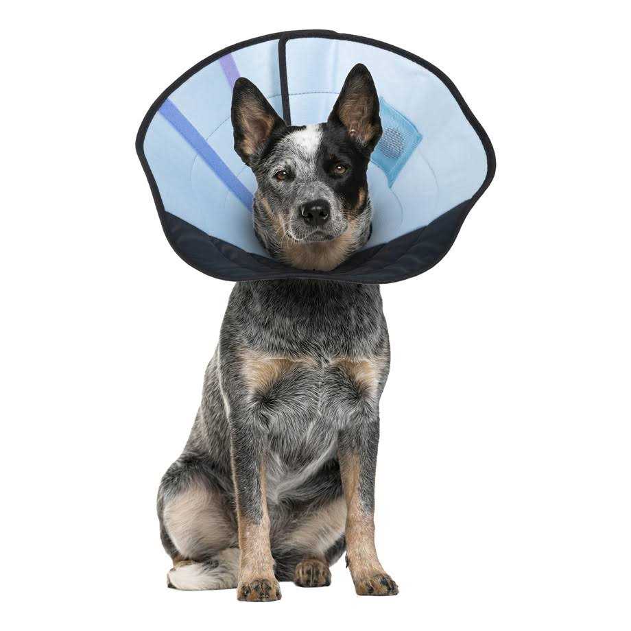 Alternative view of Calm Paws Dog Calming Caring Collar