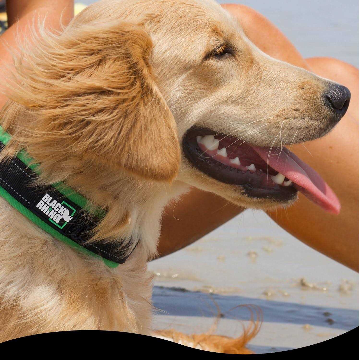 Alternative view of Black Rhino The Comfort Collar Ultra Soft Neoprene Padded Dog Collar for All Breeds