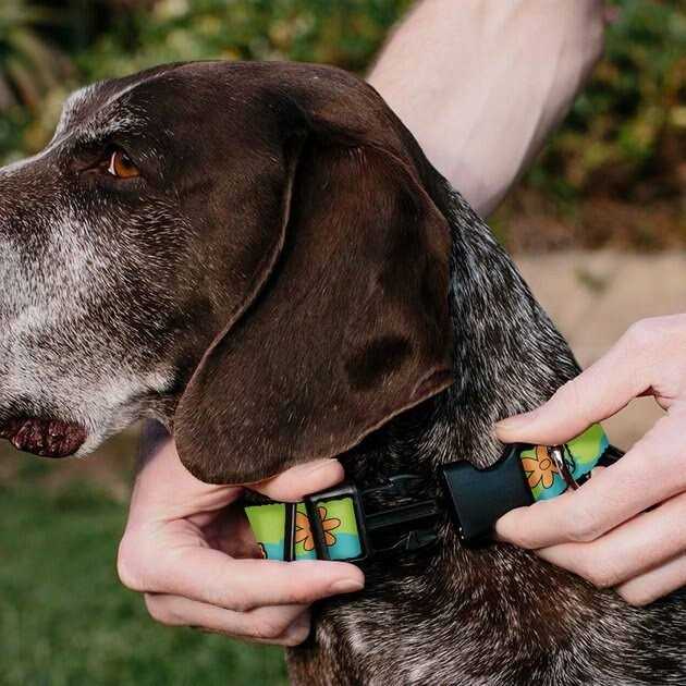 Alternative view of Buckle-Down Scooby Doo The Mystery Machine Paint Job Personalized Dog Collar