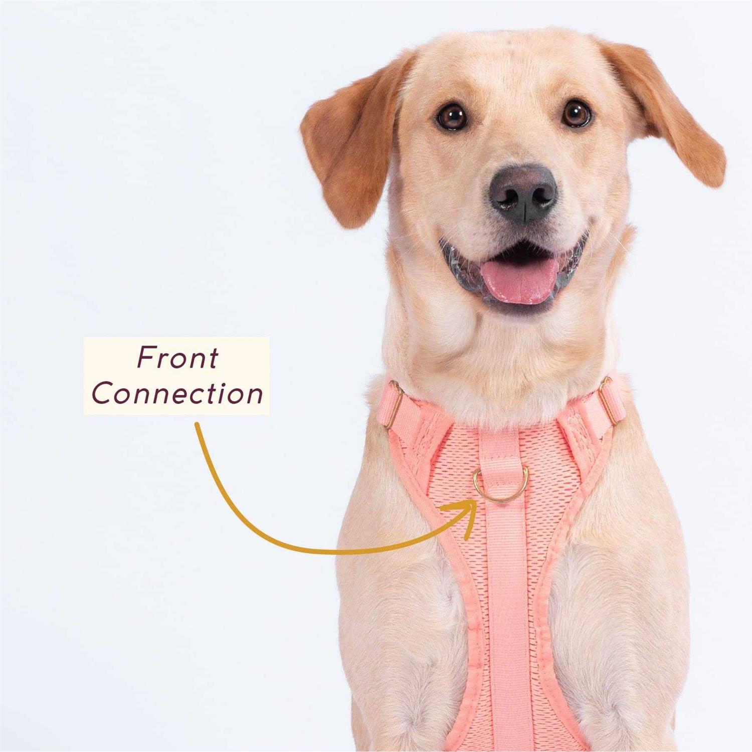 Alternative view of Awoo Huggie Harness