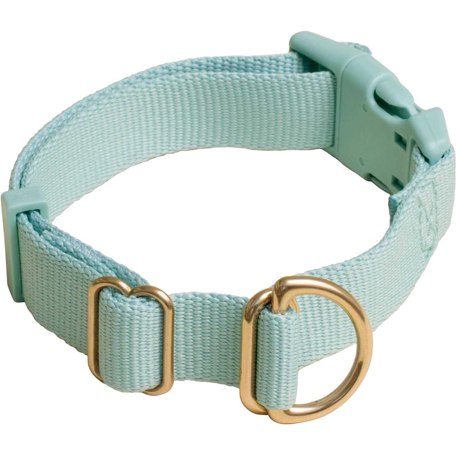 Awoo Pack Standard Dog Collar