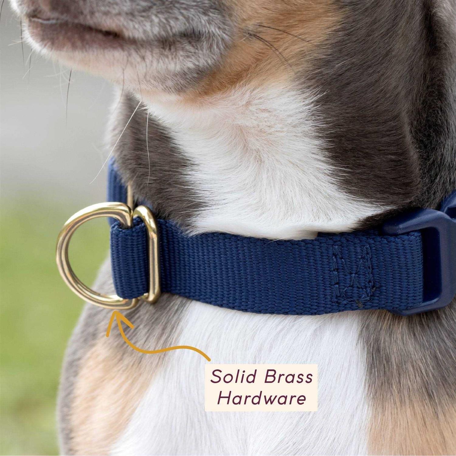 Alternative view of Awoo Pack Standard Dog Collar
