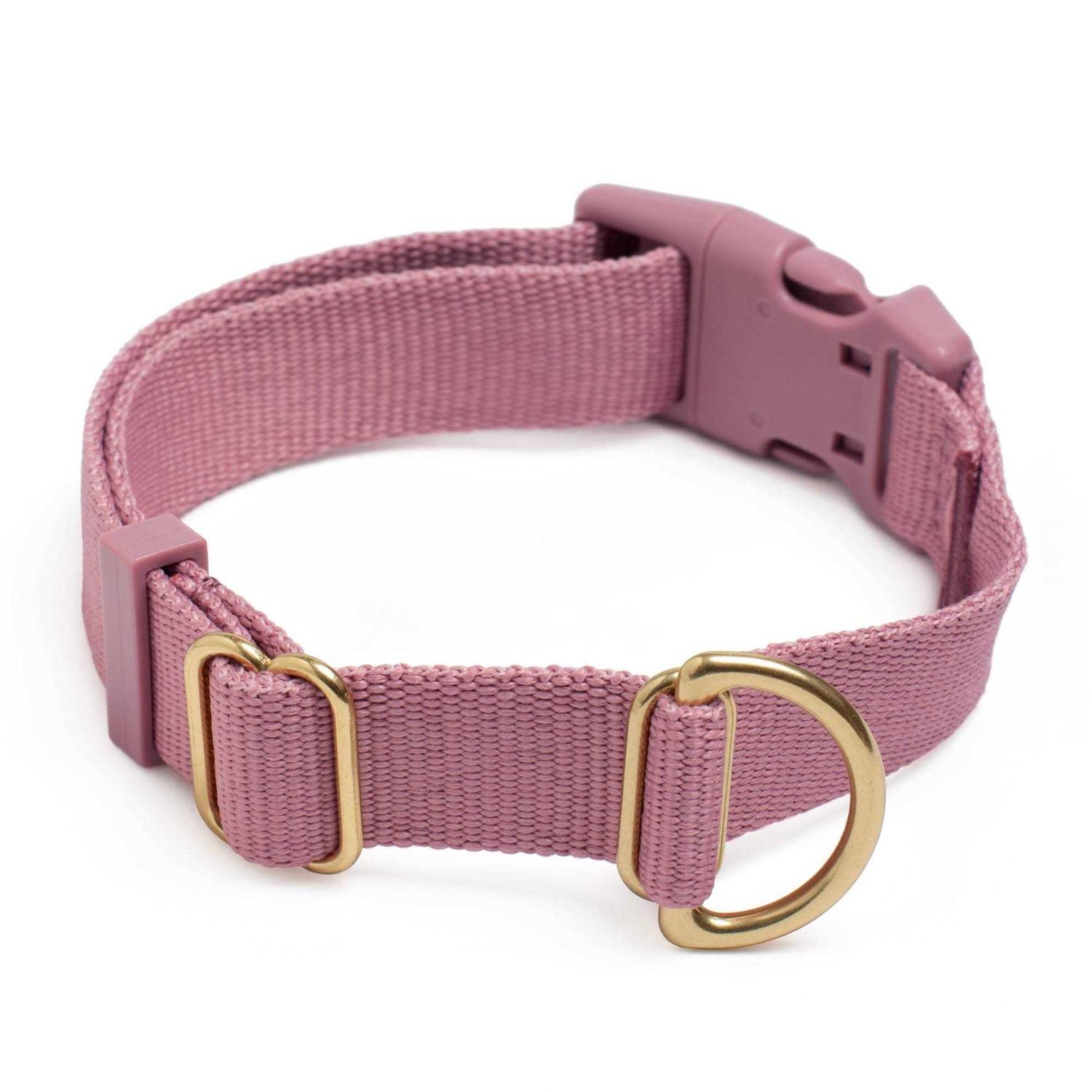 Awoo Pack Standard Dog Collar