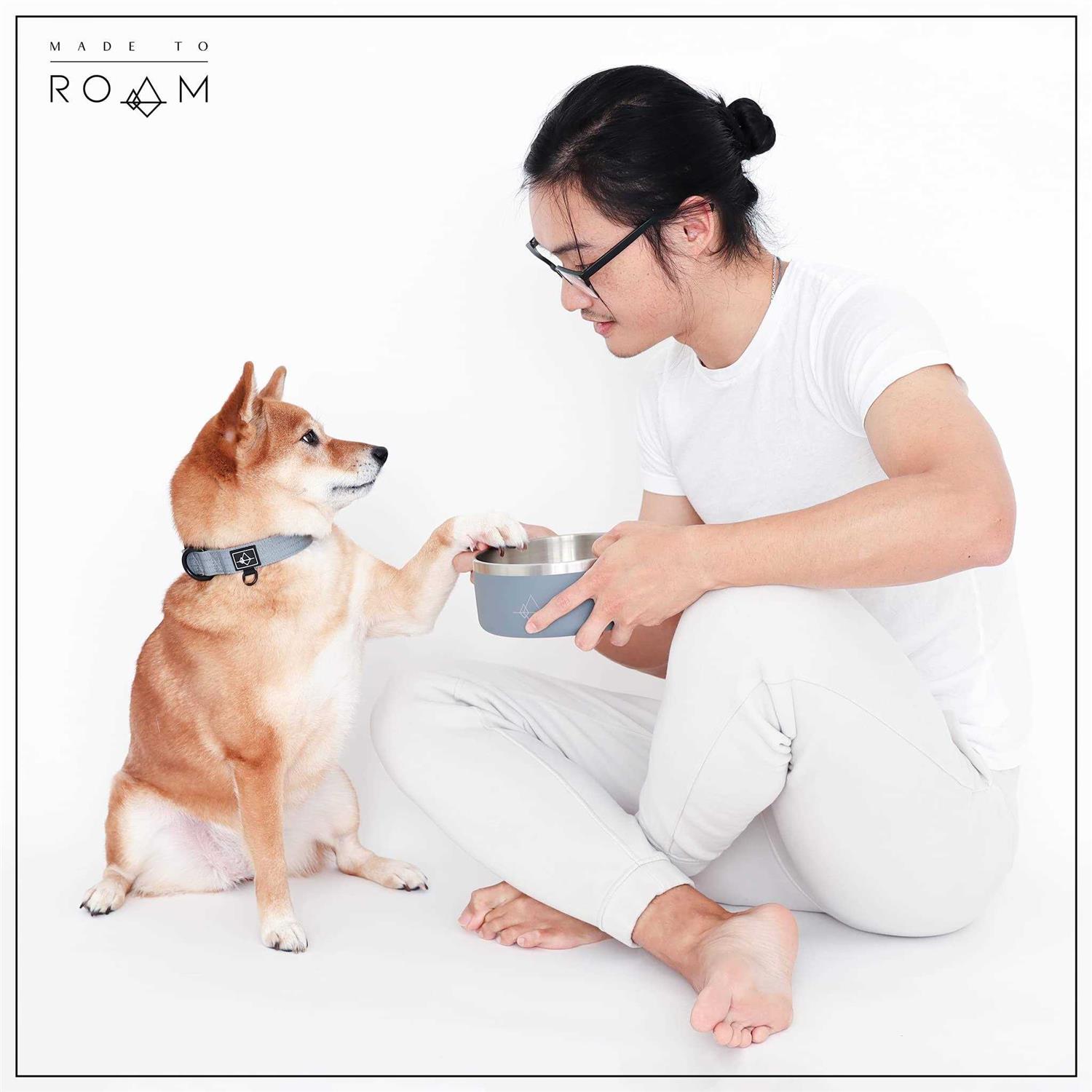 Alternative view of Roam Made to Roam Premium Dog Collar Adjustable Heavy Duty Nylon Collar with Quick-Release Metal Buckle