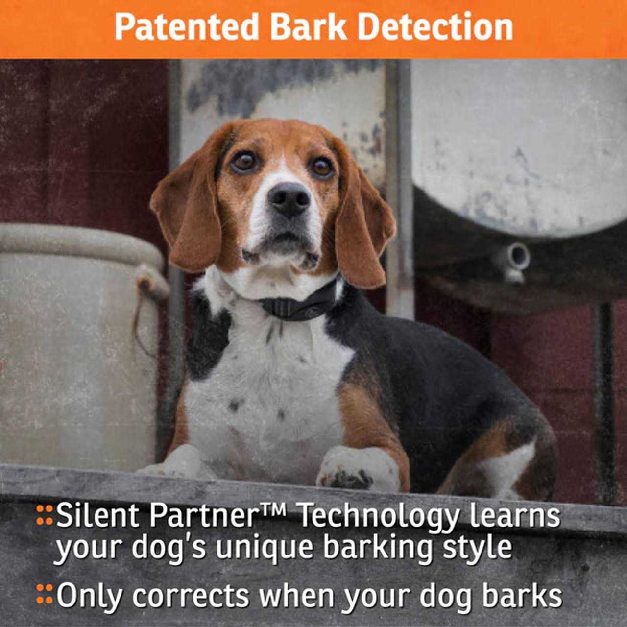 Alternative view of SportDOG NoBark SBC-R Bark Collar