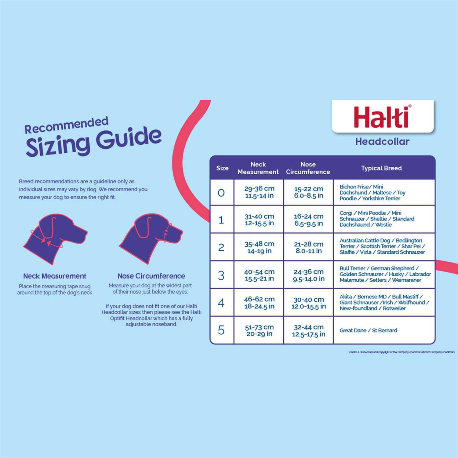 Alternative view of Halti Headcollar