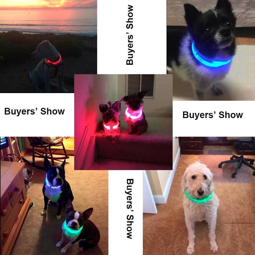 Alternative view of BSEEN Light Dog Collars Rechargeable LED Dog Collar Collar