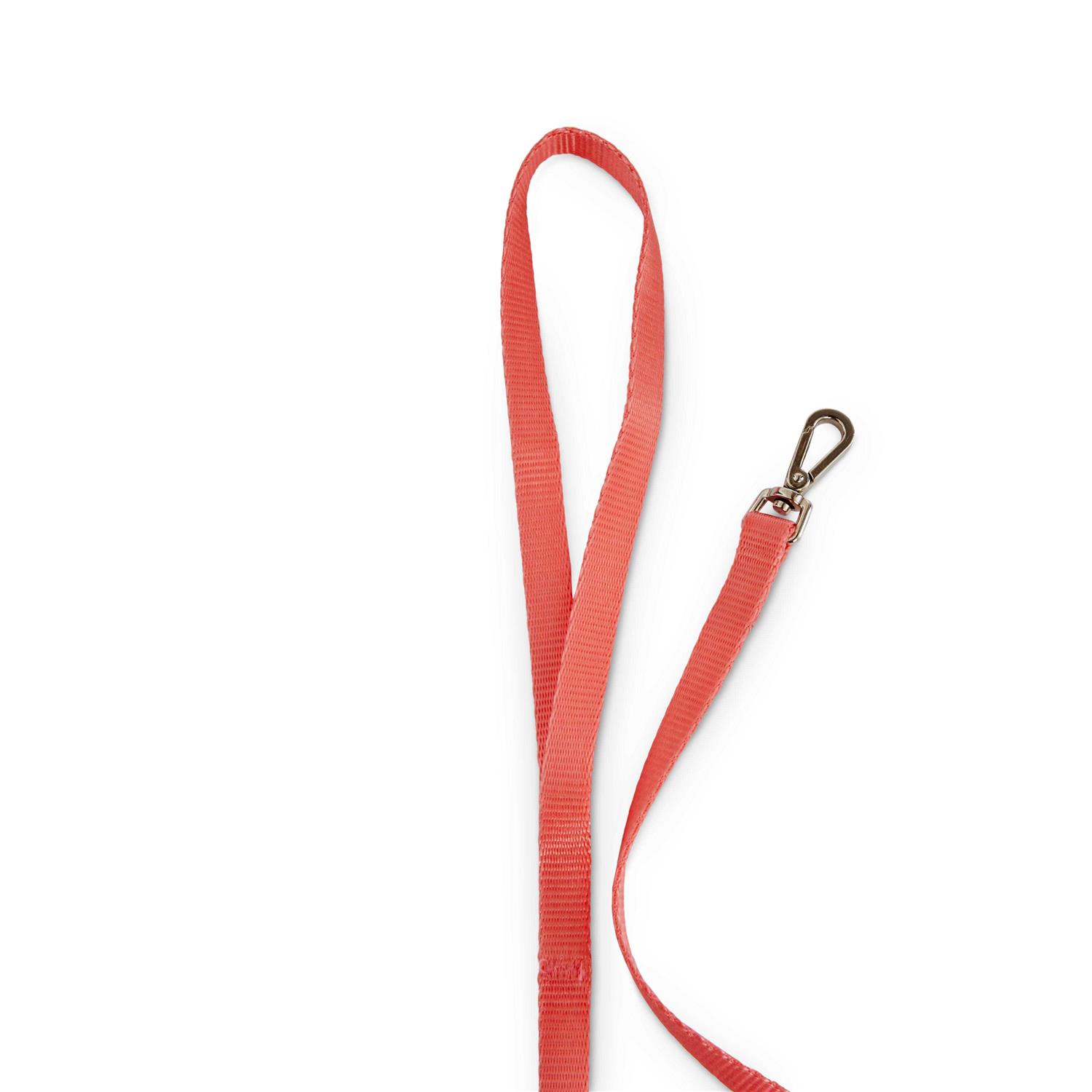 Alternative view of Youly Cat Harness Set
