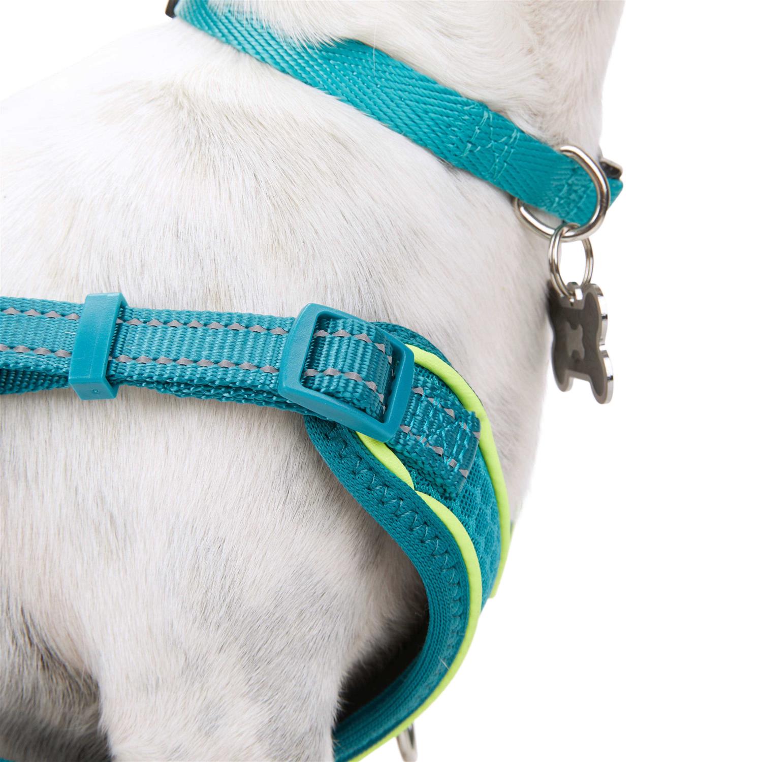 Alternative view of EveryYay Embrace The Pace Reflective Dog Harness