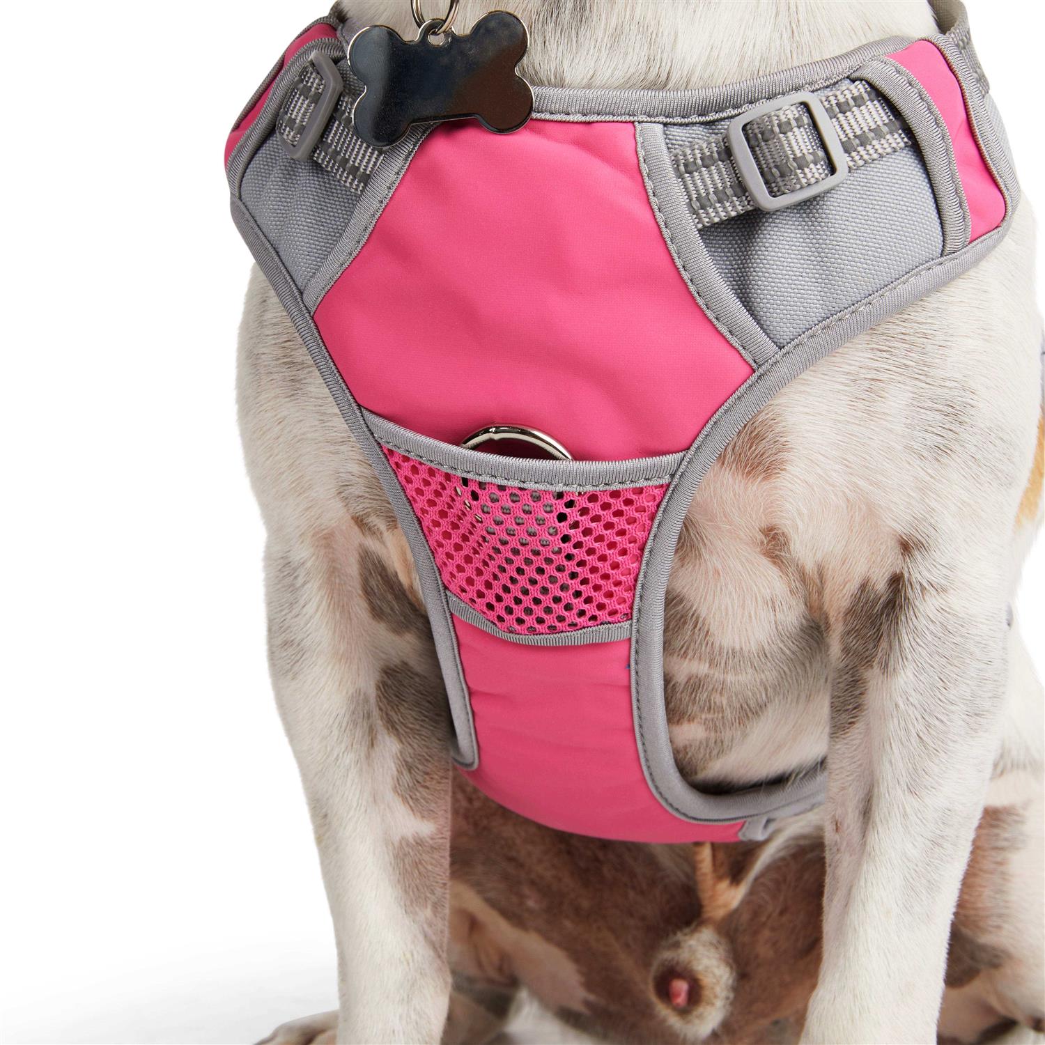 Alternative view of EveryYay Embrace The Pace Reflective Dog Harness
