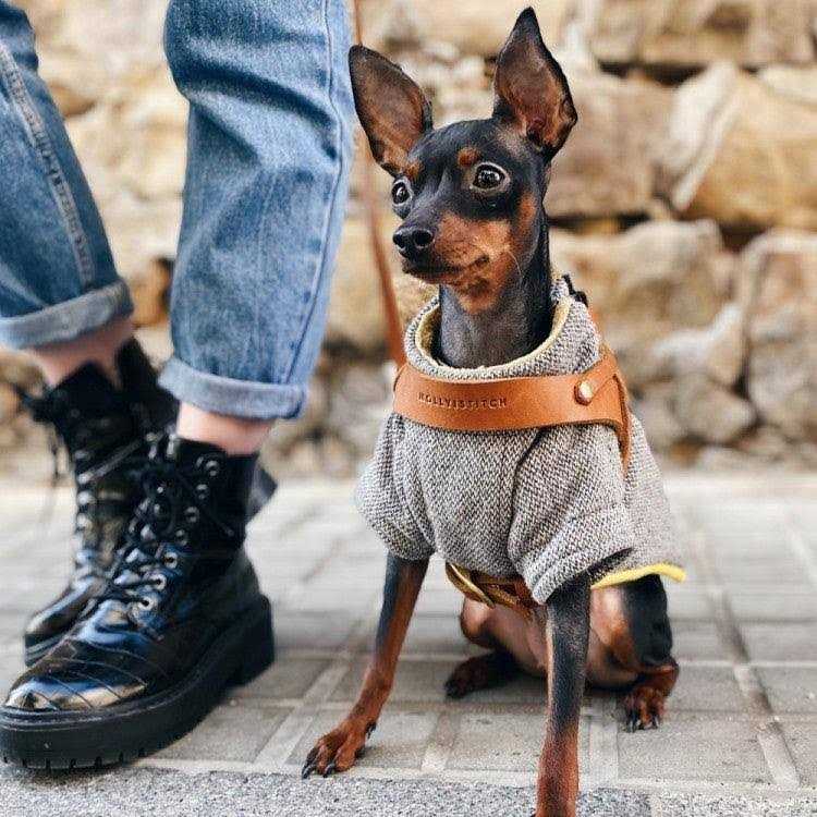 Alternative view of Butter Leather Dog Harness Molly And Stitch US