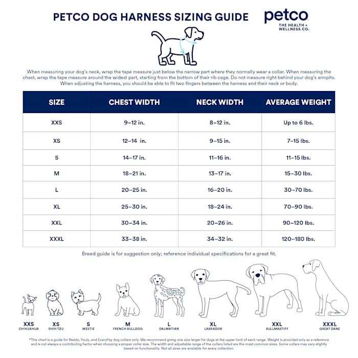 Alternative view of YOULY Mesh Dog Harness