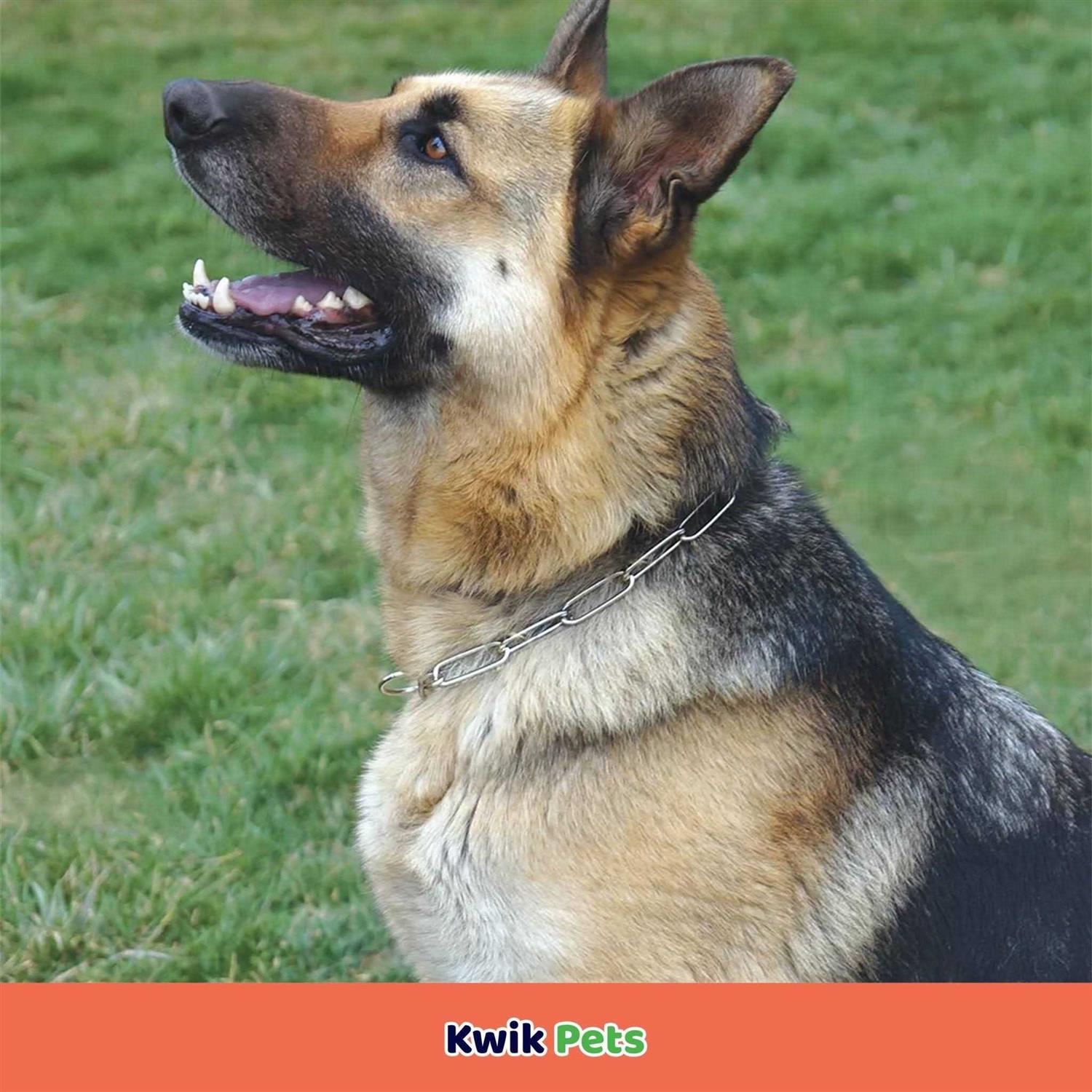 Alternative view of Herm Sprenger Fur Saver Link Chain Training Dog Collar