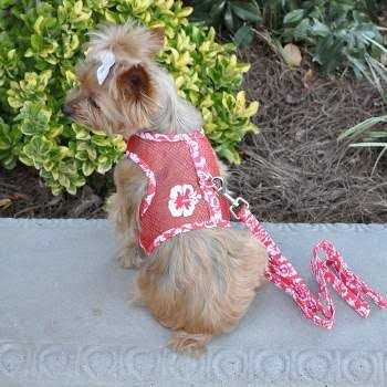 Alternative view of Doggie Design Cool Mesh Dog Harness with Leash