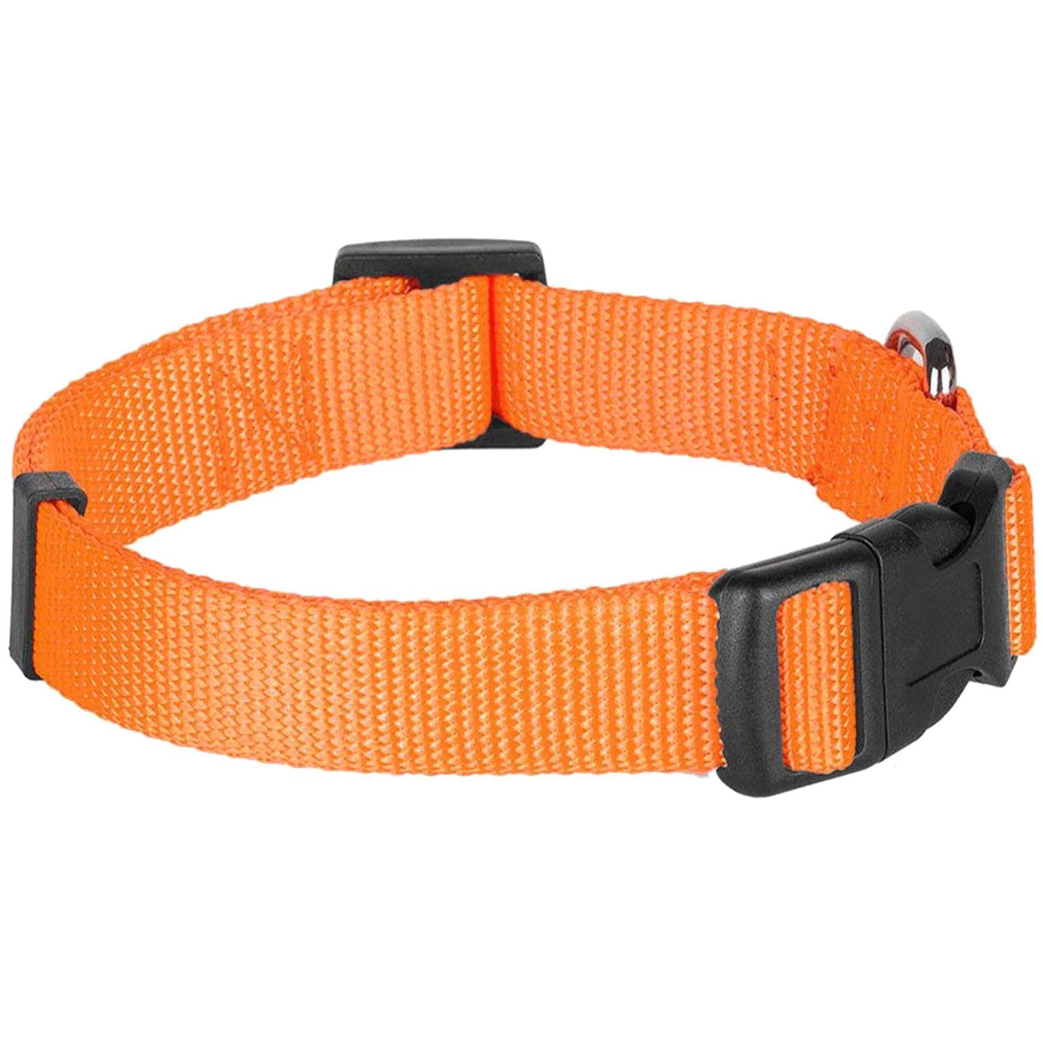 Alternative view of Blueberry Pet Classic Dog Collar