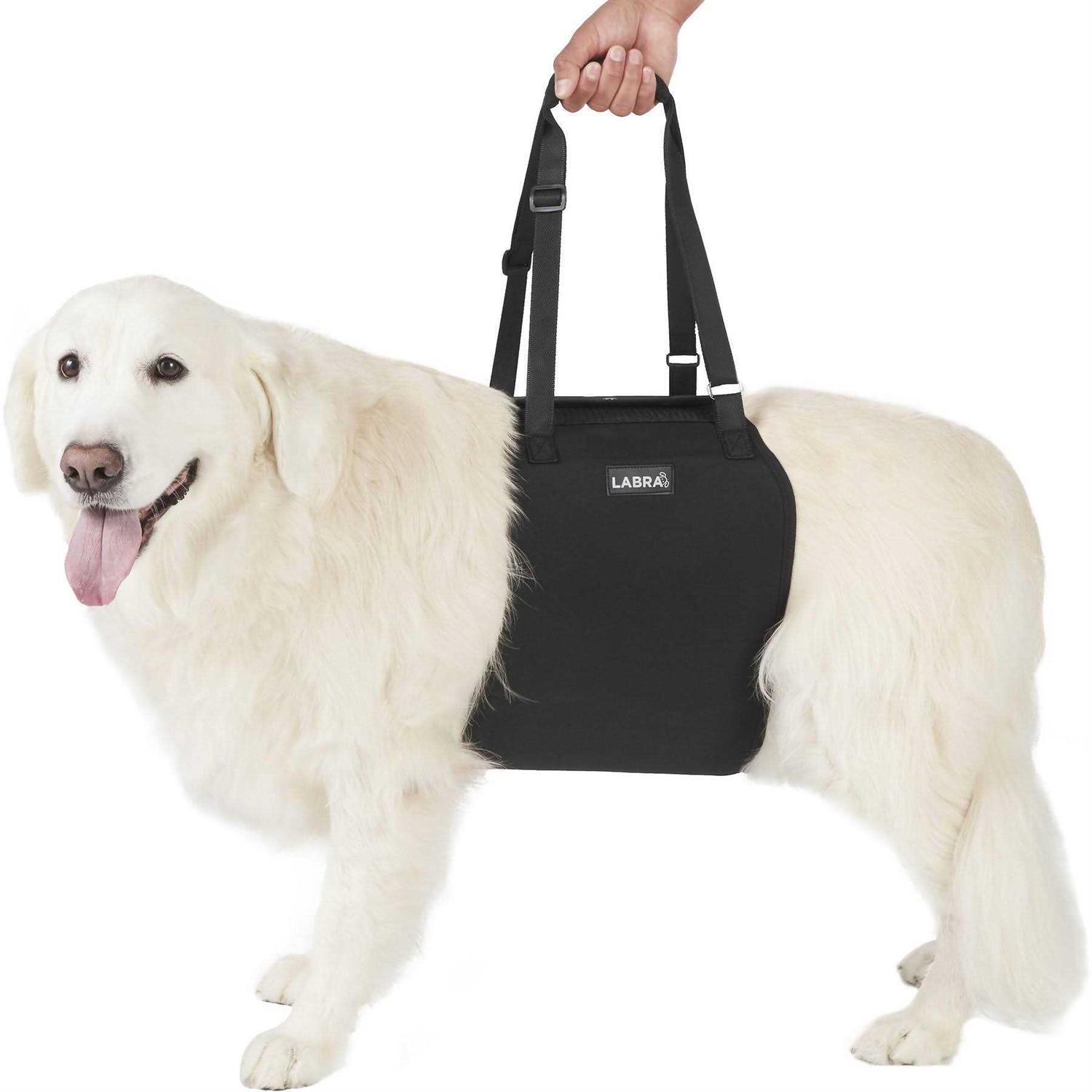 Labra Veterinarian Approved Dog Canine K9 Sling Lift Adjustable Straps Support Harness Helps with Loss of Stability Caused by Joint Injuries and