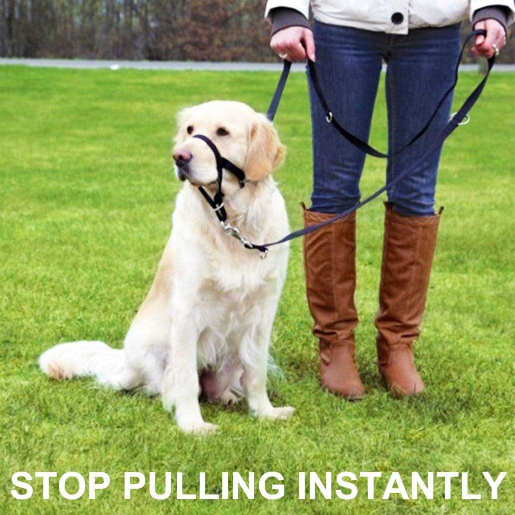 Alternative view of Barkless Dog Head Collar No Pull Training Tool for Dogs on Walks